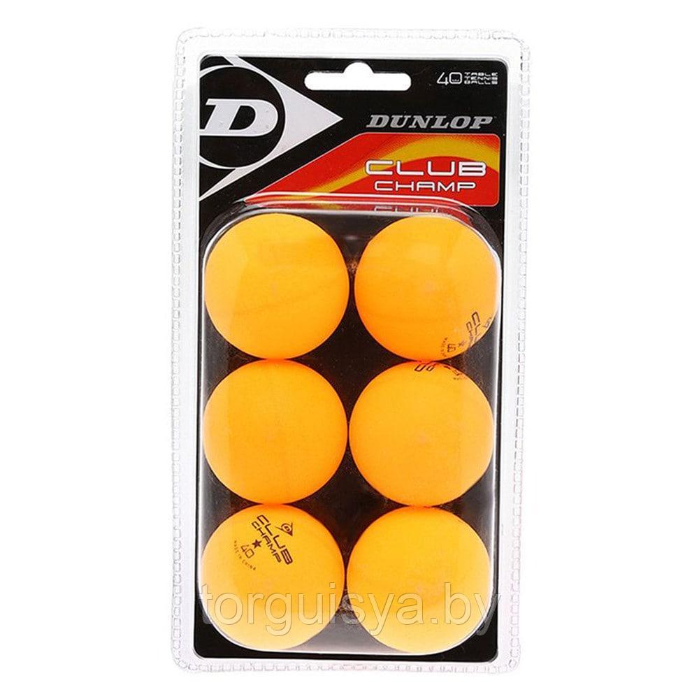 Мячи для настольного тенниса Dunlop CLUB Champ(6шт.) - фото 1 - id-p86498027