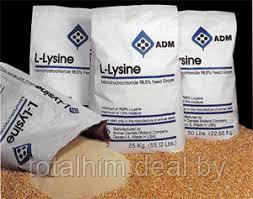 Лизин (аминокислота)
