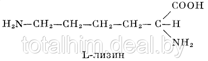 Лизин (аминокислота) - фото 2 - id-p82966507
