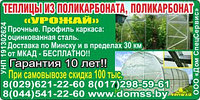 Теплица Урожай ПК 10м из поликарбоната 4мм "Сибирские теплицы" плотность 0,6кг/м2 (усиленный)