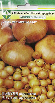 Лук репчатый Штутгартер ризен