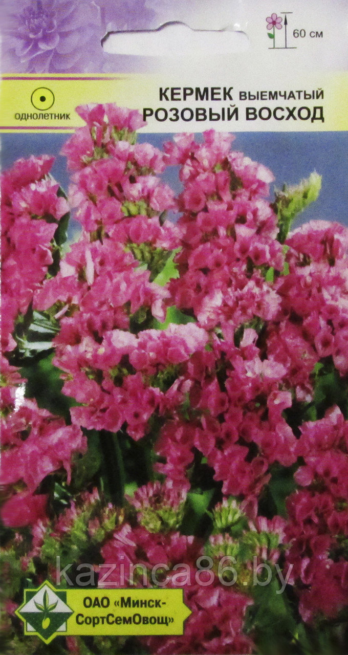 Кермек выемчатый Розовый восход - фото 1 - id-p86881548