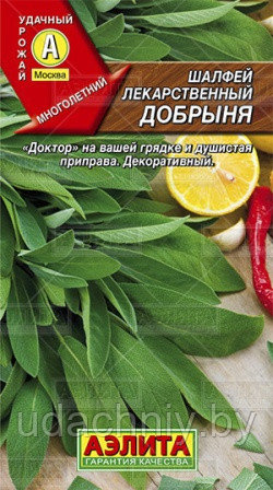 Шaлфeй лeкapcтвeнный Дoбpыня 0,2 г. "Аэлита", Россия. - фото 1 - id-p86913696