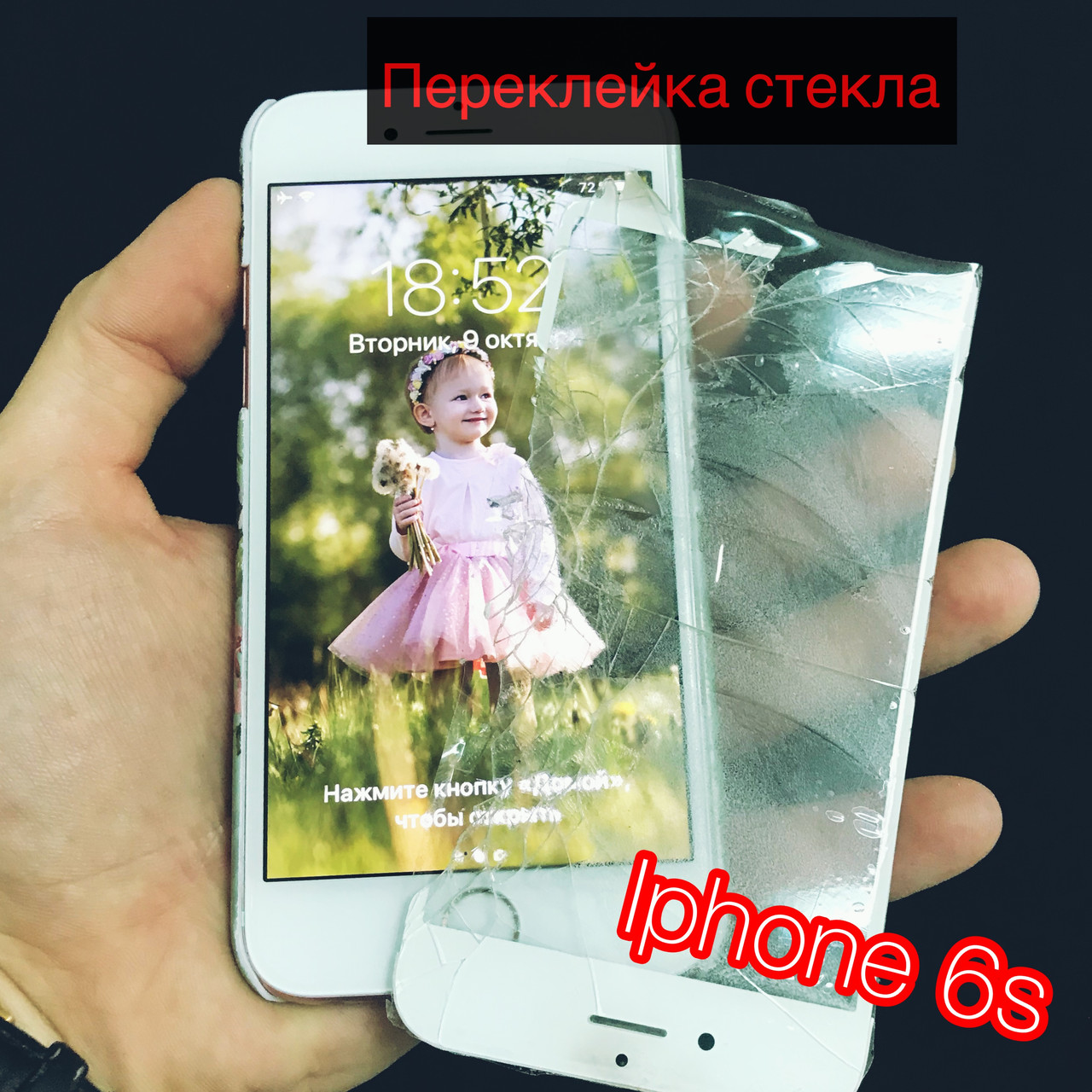 Замена экрана iPhone в Пинске. Сравнить цены и поставщиков промышленных  товаров на маркетплейсе Deal.by