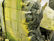 Везеринг для моделизма эффект мох и лишайник, 40 мл, Vallejo, фото 2