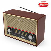 Радиоприёмник Ritmix RPR-102 (FM/AM/SW, USB, microSD, пульт, аккумулятор, сеть 220В, 2 динамика, эквалайзер)