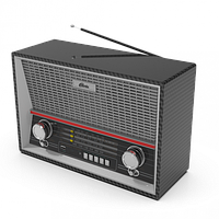 Радиоприёмник Ritmix RPR-102 (FM/AM/SW, USB, microSD, пульт, аккумулятор, сеть 220В, 2 динамика, эквалайзер)