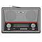 Радиоприёмник Ritmix RPR-102 (FM/AM/SW, USB, microSD, пульт, аккумулятор, сеть 220В, 2 динамика, эквалайзер), фото 2