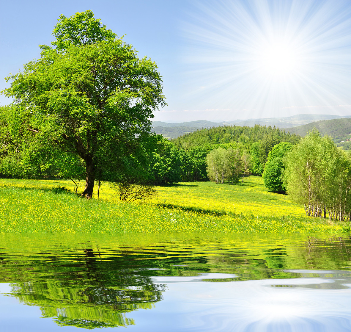 Фото-обои с изображением природы, озеро, деревья, небо и солнце