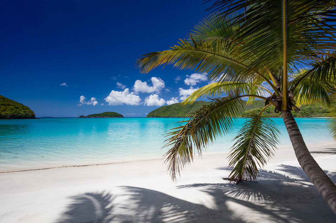 Фото-обои с изображением песчаного пляжа, тенистого оазиса с пальмами и лазурным берегом моря