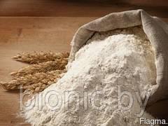 Мука пшеничная цельнозерновая 10 кг , Компас Здоровья, фото 2