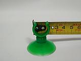 D30 Присоска силиконовая крепления(зеленое)D=30мм, пластиковое полукольцо(зеленое) D=8мм, фото 2