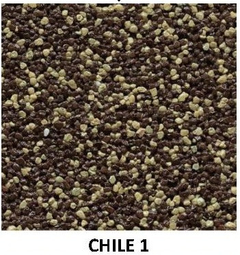 Декоративная мозаичная штукатурка Ceresit CT 77 Chile 1 25 кг.