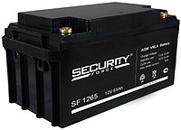 Security Force SF 1265