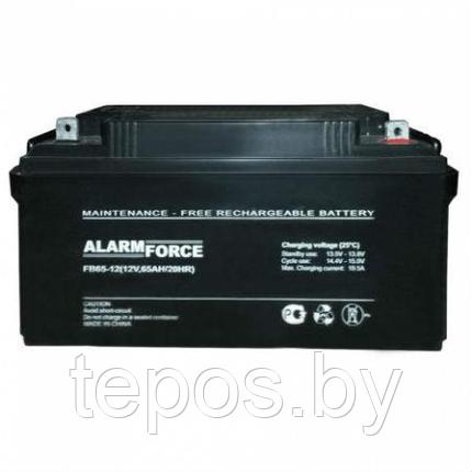 ALARM FORCE FB 65-12, фото 2