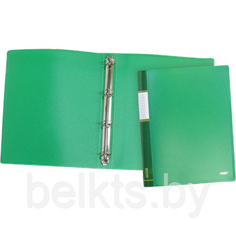 PROFF Папка A4 с боковым прижимом зеленая 0.45 мм "Proff. Standard", арт. EC-901-03