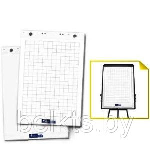 Блок бумаги для флипчарта клетка 20л,  FO70202