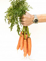 Морковь ПРЕСТО F1 (0,5 г) - фото 2 - id-p87591574