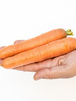 Морковь ПРЕСТО F1 (0,5 г) - фото 3 - id-p87591574