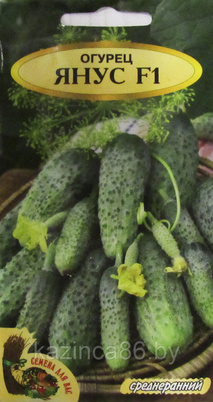 Огурец Янус F1