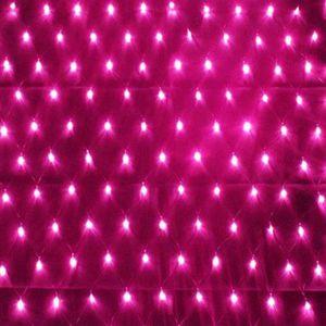 Гирдянда занавес СЕТЬ