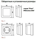 Розетка "Рим" 1-местная без заземления с защ. шторками  EKF PROxima, фото 2