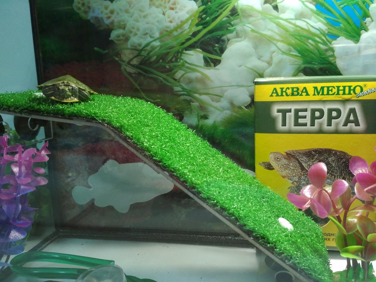 Аквариум для красноухих черепах 15 литров GREEN (комплект) - фото 3 - id-p67512252