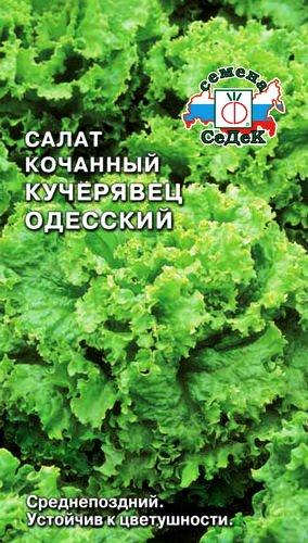 Салат полукочанный «Кучерявец одесский», 0,5 г (Остаток 8 шт !!!) - фото 1 - id-p87999047