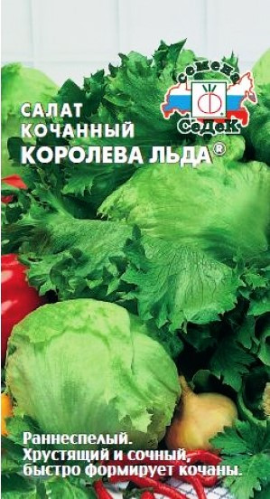 Салат кочанный «Королева льда», 0,5 г (Остаток 5 шт !!!) - фото 1 - id-p87999708