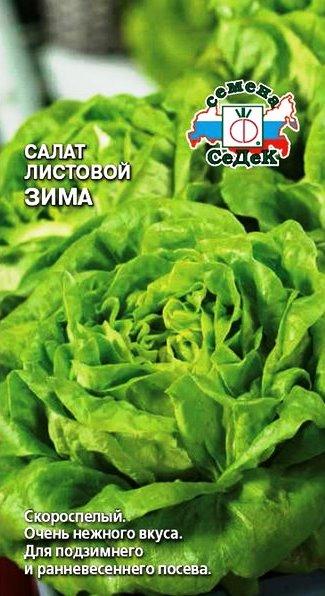 Салат листовой «Зима», 0,5 г