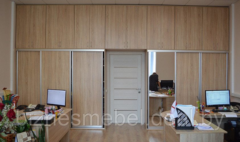 Изготовление офисных шкафов и стеллажей - фото 10 - id-p34587751