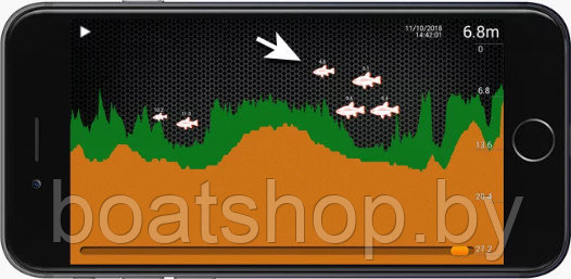 Портативный эхолот для береговой рыбалки Deeper Fishfinder START