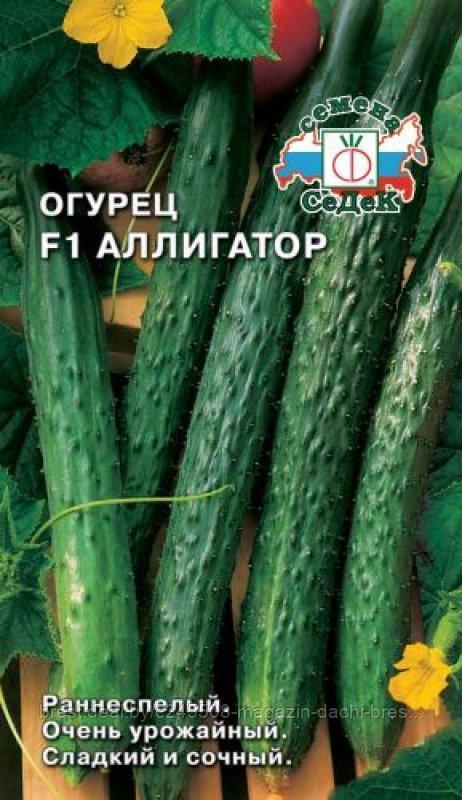 Огурец Аллигатор  "Седек", 0.2 гр, Россия