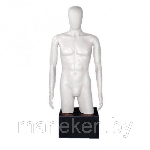 Торс (манекен) мужской TORSOS male MT-5W