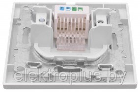 Минск Розетка RJ-45 1-местная EKF Basic - фото 4 - id-p88102479