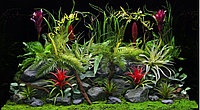 Фон аквариумный Barbus 033 "Цветы джунглей. Старый вулкан", двухсторонний, 60 см х 124 см