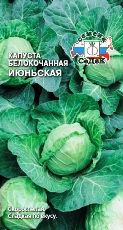 Капуста белокочанная «Июньская», 0,3 г (Остаток 4 шт !!!)