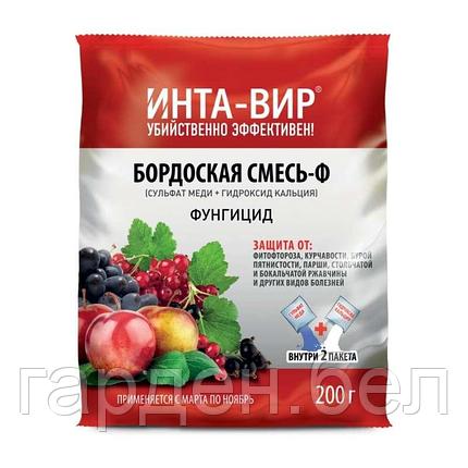 Бордоская смесь Инта Вир® 200г, фото 2