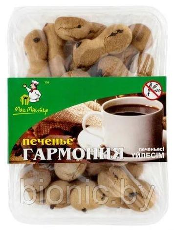 Печенье безбелковое, безглютеновое "Гармония" (с шоколадными каплями), МакМастер, 200г 1/15, фото 2