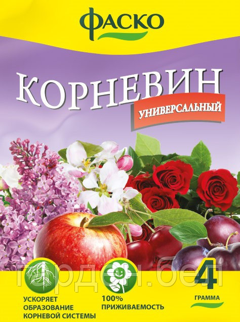 Корневин 4г Фаско® - фото 1 - id-p88200985