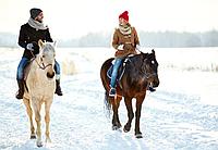 Верховая езда для пары в Гомеле