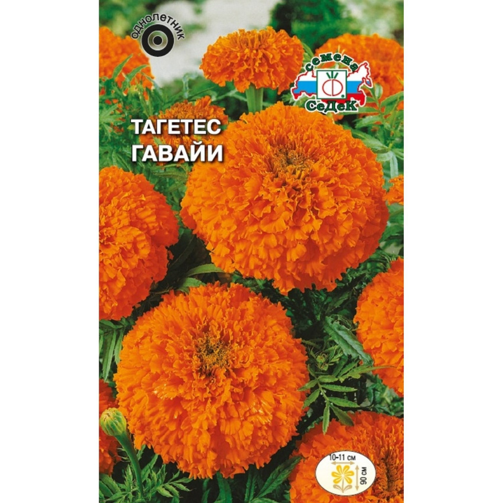 Тагетес (Бархатцы) «Гавайи» до 90 см, 0,2 г (Остаток 9 шт !!!)