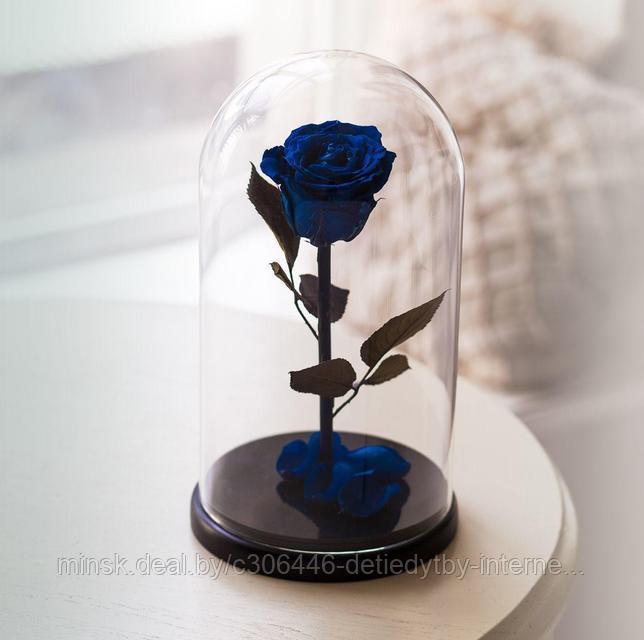 Роза в стеклянной колбе PREMIUM (28 см) синяя