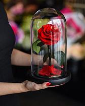 Роза в стеклянной колбе PREMIUM (28 см) красная