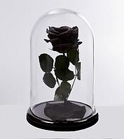 Роза в стеклянной колбе PREMIUM (28 см) черная