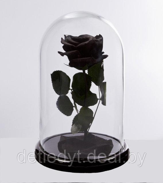 Роза в стеклянной колбе PREMIUM (28 см) черная - фото 1 - id-p88509279
