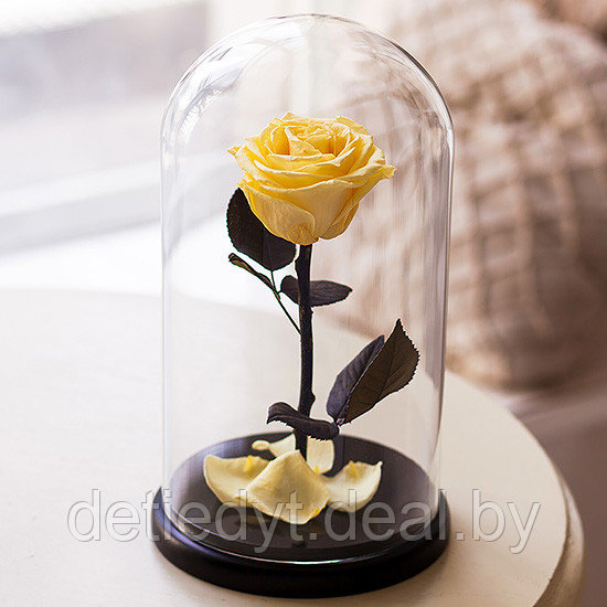 Роза в стеклянной колбе PREMIUM (28 см) желтая