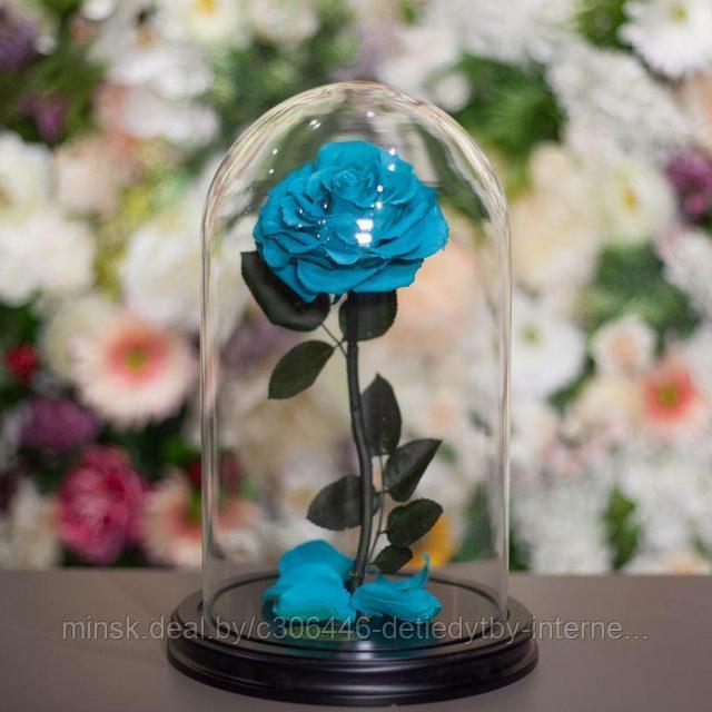Роза в стеклянной колбе PREMIUM (28 см) бирюзовая - фото 1 - id-p88509285