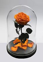 Роза в стеклянной колбе PREMIUM (28 см) оранжевая