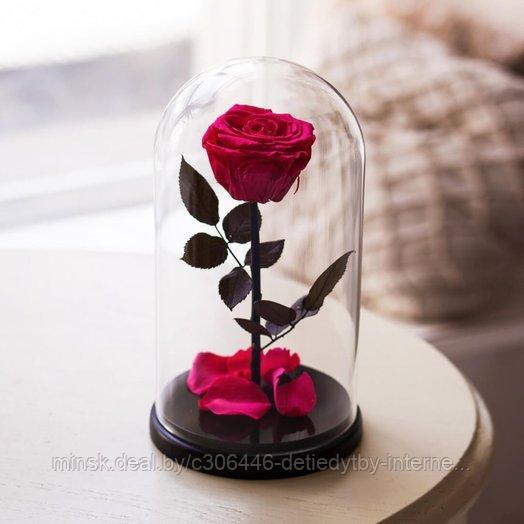 Роза в стеклянной колбе PREMIUM (28 см) малиновая